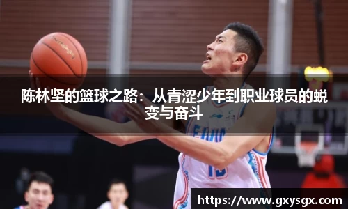 陈林坚的篮球之路：从青涩少年到职业球员的蜕变与奋斗