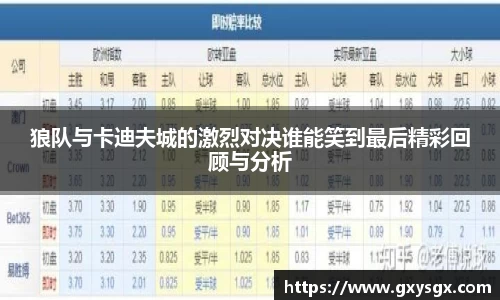 狼队与卡迪夫城的激烈对决谁能笑到最后精彩回顾与分析